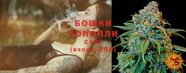 прущие крисы Белокуриха