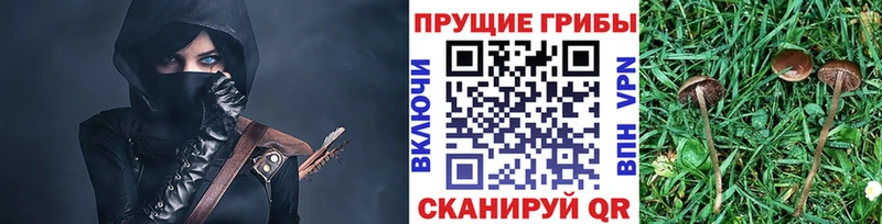 Псилоцибиновые грибы Cubensis Кунгур